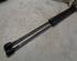 Gas Spring RENAULT MEGANE II Estate (KM0/1_)