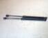 Gas Spring RENAULT MEGANE III Hatchback (BZ0/1_, B3_)