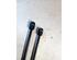 Gas Spring RENAULT MEGANE III Hatchback (BZ0/1_, B3_)