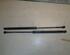 Gas Spring SEAT IBIZA III (6L1)