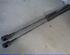 Gas Spring FORD MONDEO III Turnier (BWY)