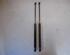 Gas Spring FORD KA (RU8)