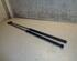 Gas Spring FORD FOCUS C-MAX (DM2), FORD C-MAX (DM2)