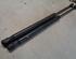 Gas Spring OPEL ASTRA H (A04)