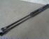 Gas Spring VW FOX Hatchback (5Z1, 5Z3, 5Z4)