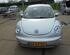 Boot (Trunk) Lid VW NEW BEETLE (9C1, 1C1)