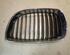 Radiator Grille BMW 1 (E87), BMW 1 (E81)