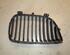 Radiator Grille BMW 1 (E87), BMW 1 (E81)