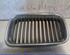 Radiator Grille BMW 3 (E36)