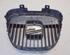 Radiator Grille SEAT IBIZA III (6L1)