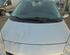 Motorhaube Renault Scenic II JM 7751474289 P20346565