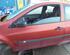 Deur RENAULT CLIO III (BR0/1, CR0/1), RENAULT CLIO IV (BH_)