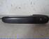 Door Handle VW POLO (6N1)