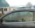 Door Glass VW EOS (1F7, 1F8)