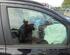 Door Glass FIAT PANDA (312_, 319_), FIAT PANDA VAN (312_, 519_)