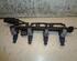 Petrol Fuel Rail KIA PICANTO (SA)