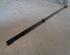 Engine Oil Dipsticks SEAT LEON (1M1)