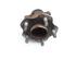 Wheel Bearing NISSAN QASHQAI / QASHQAI +2 I (J10, NJ10, JJ10E)