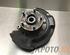 Wheel Hub TOYOTA RAV 4 III (_A3_)