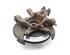 Wheel Hub CHEVROLET CAPTIVA (C100, C140)