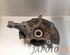 Wheel Hub TOYOTA RAV 4 IV (_A4_)