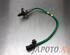 Lambda Sensor / NOx Sensor NISSAN MICRA V (K14)