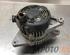 Dynamo (Alternator) SUZUKI IGNIS III (MF)