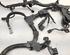 Wiring Harness TOYOTA RAV 4 V (_A5_, _H5_)