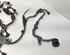 Wiring Harness TOYOTA RAV 4 V (_A5_, _H5_)