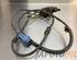 Wiring Harness SUZUKI IGNIS II (MH)