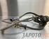 Wiring Harness SUZUKI IGNIS II (MH)