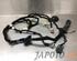 Wiring Harness KIA NIRO I (DE)