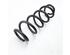 Coil Spring SUZUKI VITARA (LY)