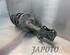 Suspension Strut TOYOTA RAV 4 III (_A3_)