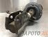 Suspension Strut HONDA JAZZ III (GE_, GG_, GP_, ZA_)