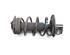 Suspension Strut NISSAN QASHQAI / QASHQAI +2 I (J10, NJ10, JJ10E)