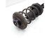 Suspension Strut SUZUKI BALENO Estate (EG)