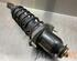 Suspension Strut TOYOTA COROLLA Verso (_E12_)