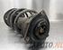 Suspension Strut NISSAN QASHQAI / QASHQAI +2 I (J10, NJ10, JJ10E)