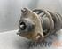 Suspension Strut KIA SPORTAGE (SL)