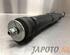 Shock Absorber HONDA JAZZ III (GE_, GG_, GP_, ZA_)