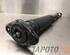 Shock Absorber NISSAN MICRA V (K14)