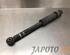 Shock Absorber SUZUKI IGNIS III (MF)