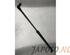 Bootlid (Tailgate) Gas Strut Spring NISSAN QASHQAI II SUV (J11, J11_)