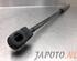 Bootlid (Tailgate) Gas Strut Spring NISSAN NOTE (E12)