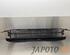 Radiator Grille HONDA JAZZ III (GE_, GG_, GP_, ZA_)