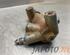 Clutch Master Cylinder TOYOTA YARIS (_P9_)