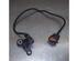 Crankshaft MAZDA PREMACY (CP)