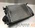 Intercooler NISSAN QASHQAI II SUV (J11, J11_)