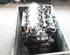 Motor ohne Anbauteile (Benzin) Honda Civic VIII Stufenheck FD, FA  P12496194